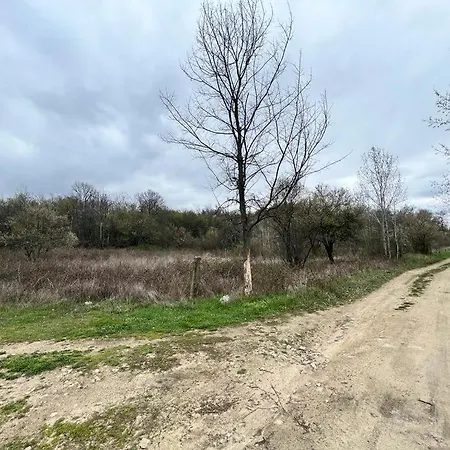 частен двор Bulgarian For Tents