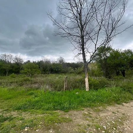частен двор Bulgarian For Tents Parque de Campismo Kazanlŭk
