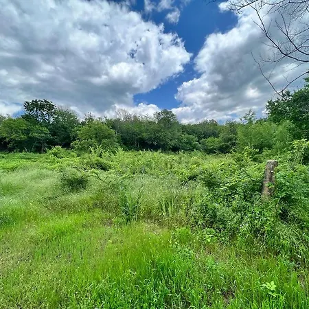 частен двор Bulgarian For Tents * 卡赞勒克