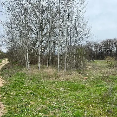 частен двор Bulgarian For Tents Camping