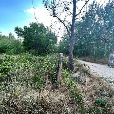 Camping частен двор Bulgarian For Tents Kazanlŭk