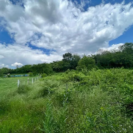 частен двор Bulgarian For Tents Camping Kazanlŭk