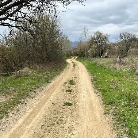 частен двор Bulgarian For Tents Parque de Campismo