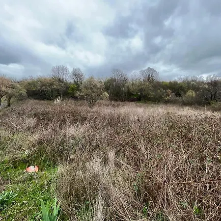 частен двор Bulgarian For Tents 营地 卡赞勒克