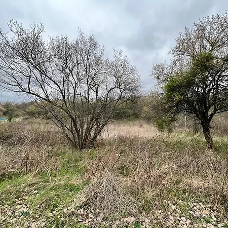 частен двор Bulgarian For Tents 营地 *