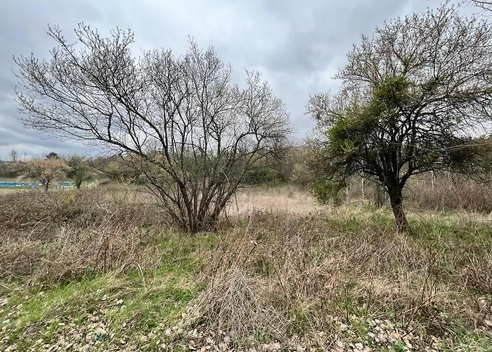 частен двор Bulgarian For Tents Kamp alanı *