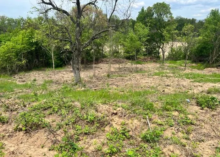 частен двор Bulgarian For Tents Kamp alanı *